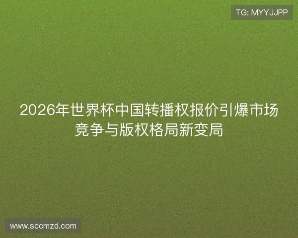 2026年世界杯中国转播权报价引爆市场竞争与版权格局新变局